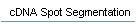 cDNA Spot Segmentation